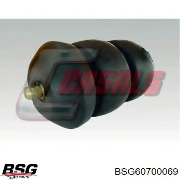 BSG 60-700-069 BSG tope de ballesta trasera