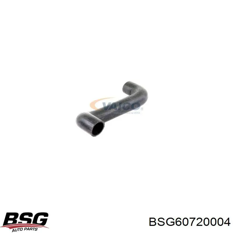 BSG 60-720-004 BSG manguera refrigerante para radiador inferiora