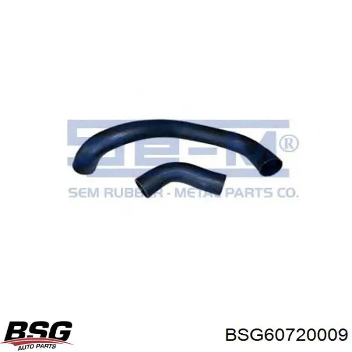 BSG 60-720-009 BSG tubo flexible de aire de sobrealimentación superior izquierdo