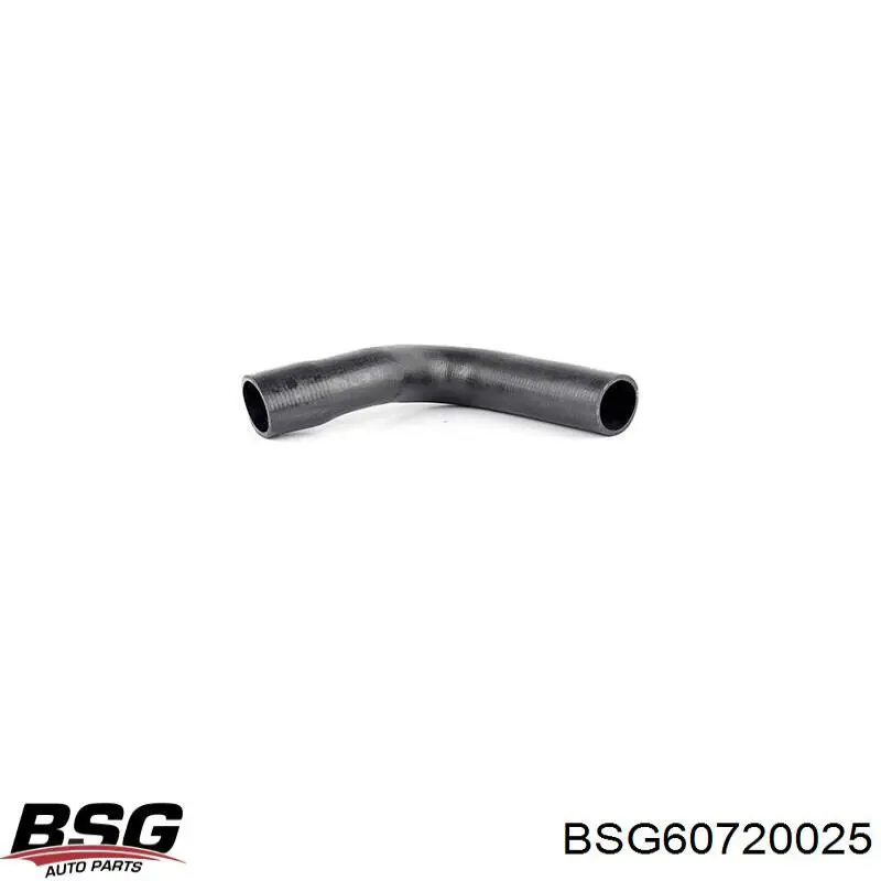BSG 60-720-025 BSG tubo flexible de aire de sobrealimentación derecho