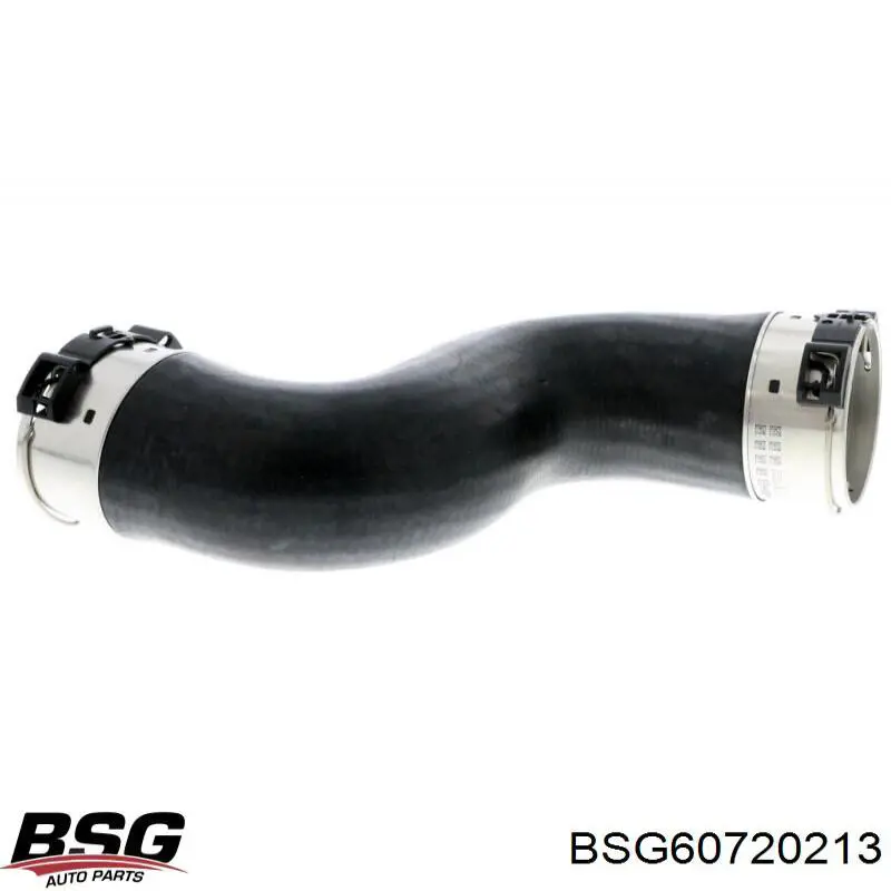 BSG 60-720-213 BSG tubo flexible de aire de sobrealimentación izquierdo