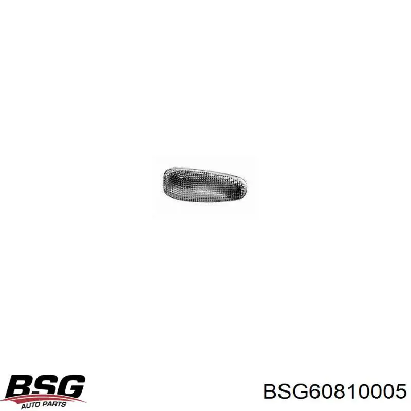 Luz intermitente BSG BSG60810005 precio, desde 9,05 EUR