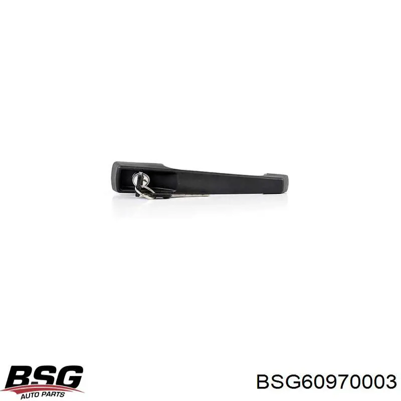Maneta de puerta exterior delantero BSG BSG60970003 precio, desde 16,64 EUR
