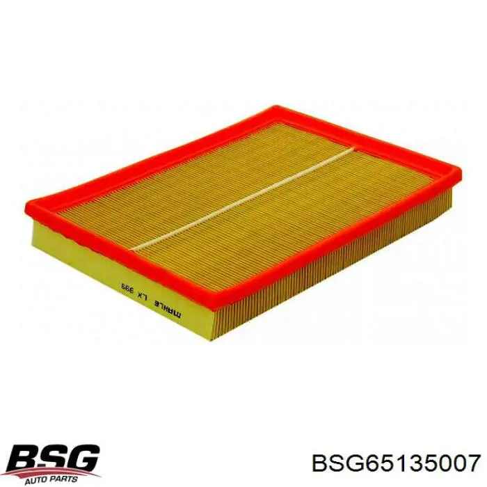 BSG 65-135-007 BSG filtro de aire