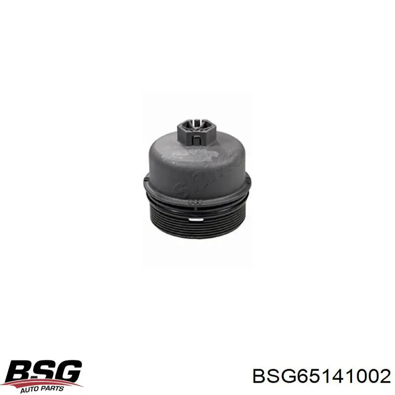 BSG 65-141-002 BSG tapa de filtro de aceite