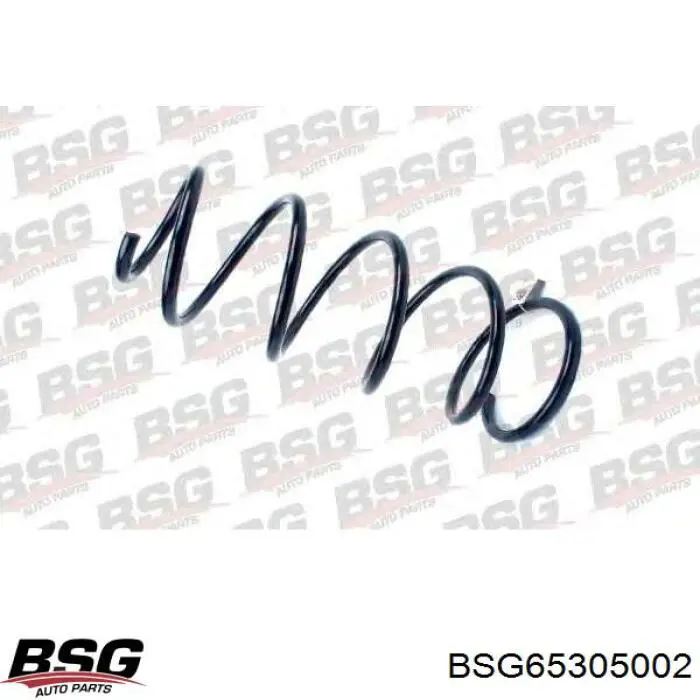 BSG65305002 BSG