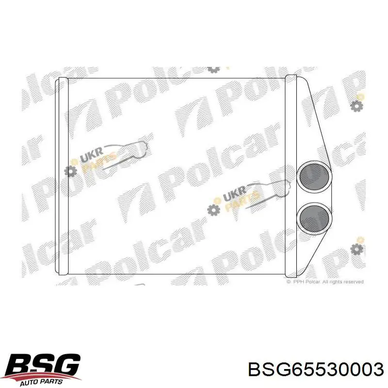  BSG65530003 BSG radiador de calefacción