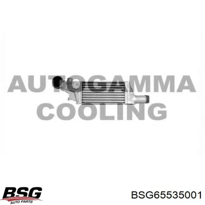 BSG65535001 BSG intercooler