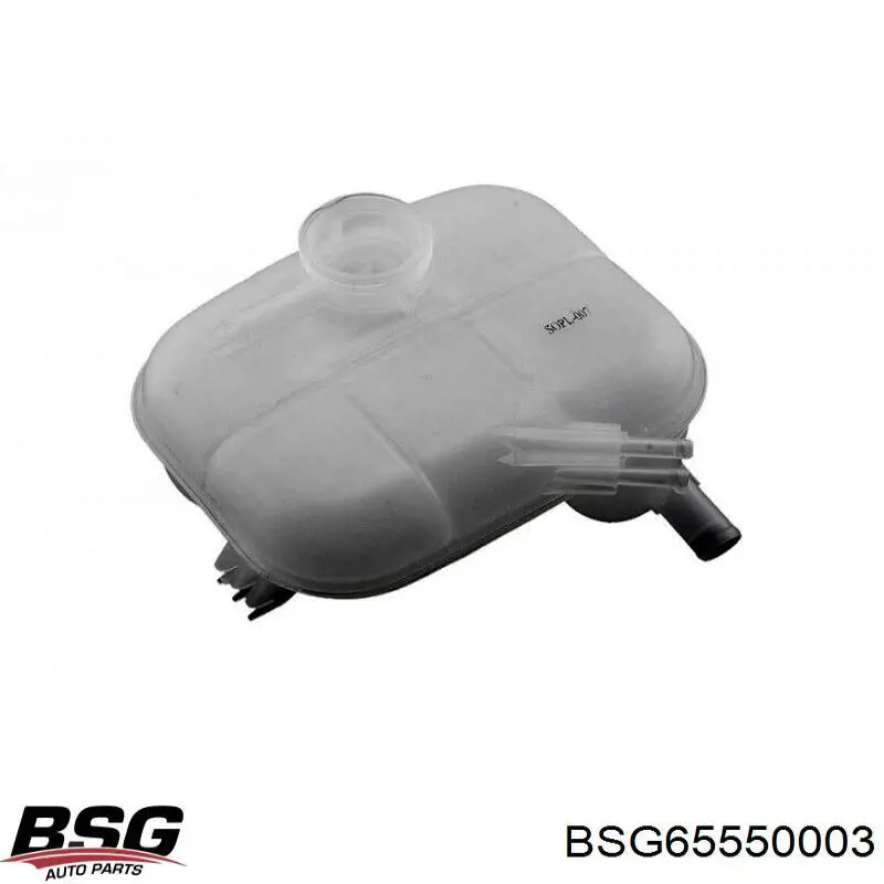 BSG 65-550-003 BSG vaso de expansión, refrigerante