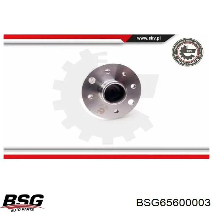 BSG 65-600-003 BSG cubo de rueda trasero