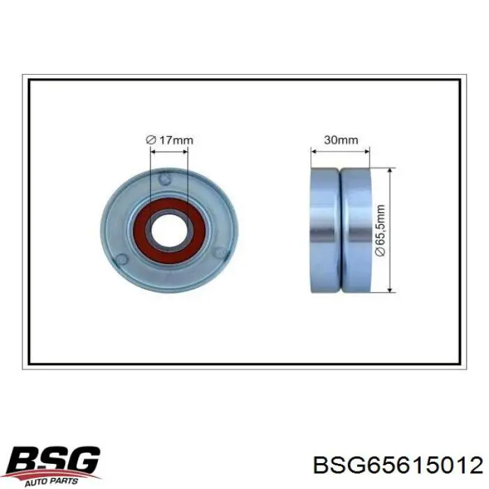BSG 65-615-012 BSG tensor de correa, correa poli v