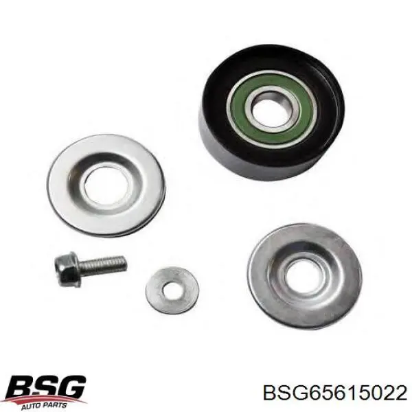 Polea inversión/guía, correa auxiliar servicios BSG BSG65615022 precio, desde 11,43 EUR