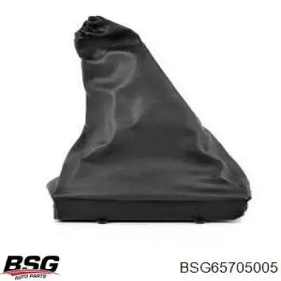 BSG65705005 BSG