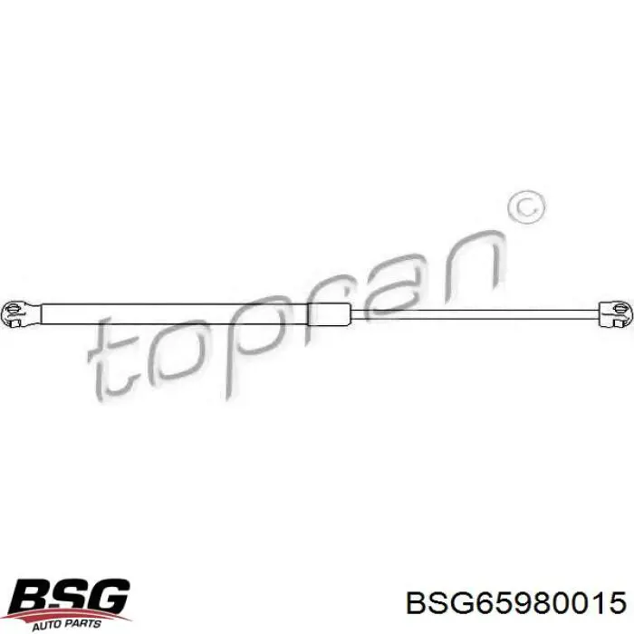 BSG65980015 BSG muelle neumático, capó de motor