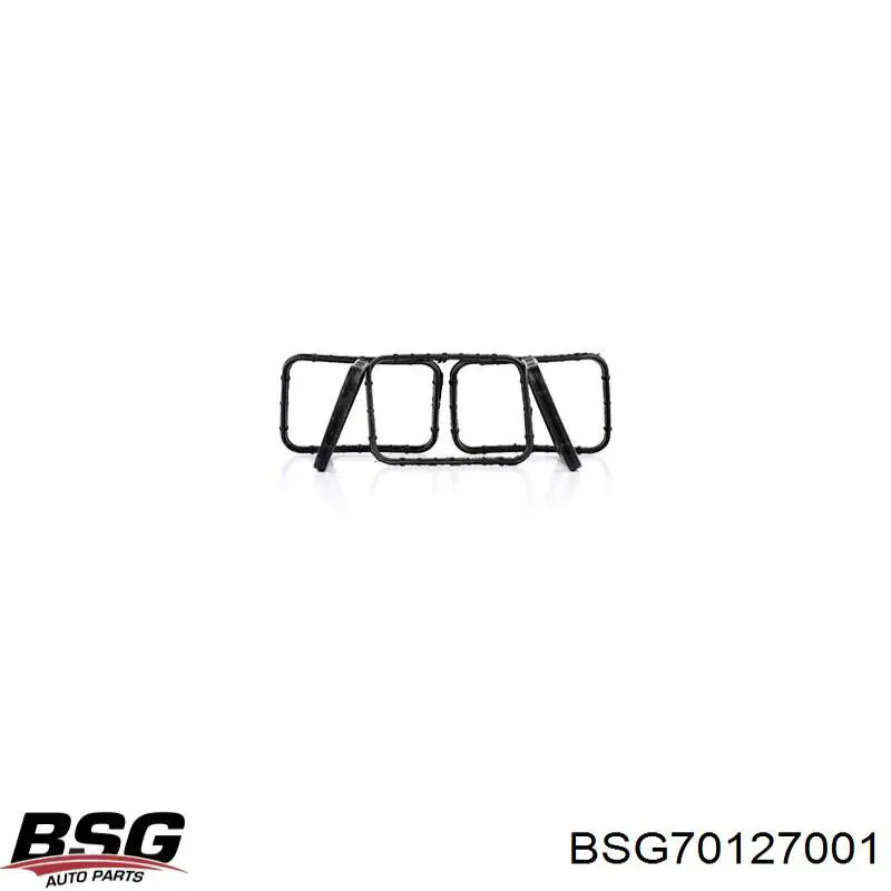 BSG 70-127-001 BSG juntas de la carcasa de el termostato