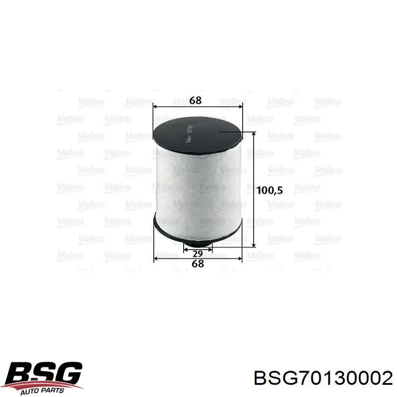 Filtro combustible Fiat Ducato 3 250