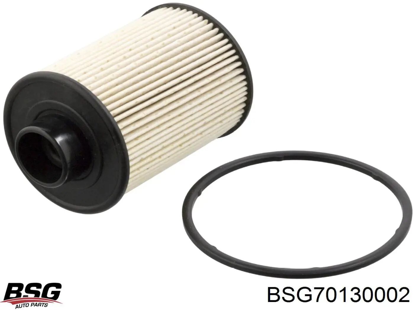 BSG 70-130-002 BSG filtro de combustible