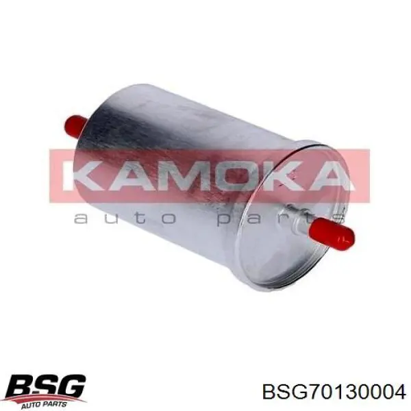 BSG70130004 BSG filtro combustible
