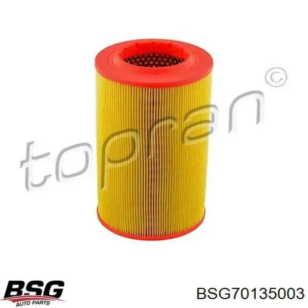 Comprar BSG70135003 BSG Filtro de aire