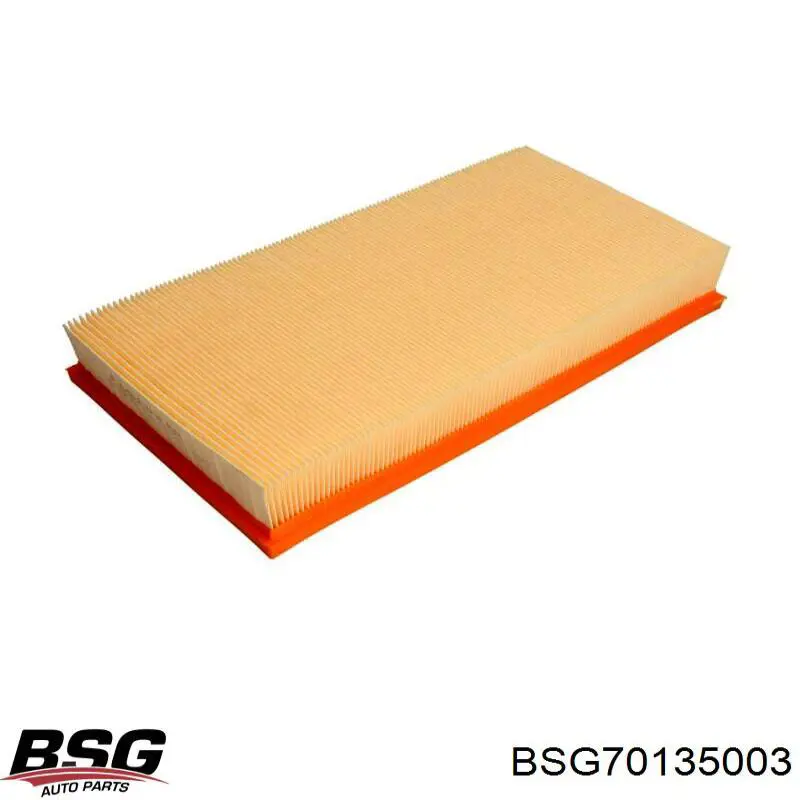 El filtro de aire BSG BSG70135003 precio, desde 16,44 EUR