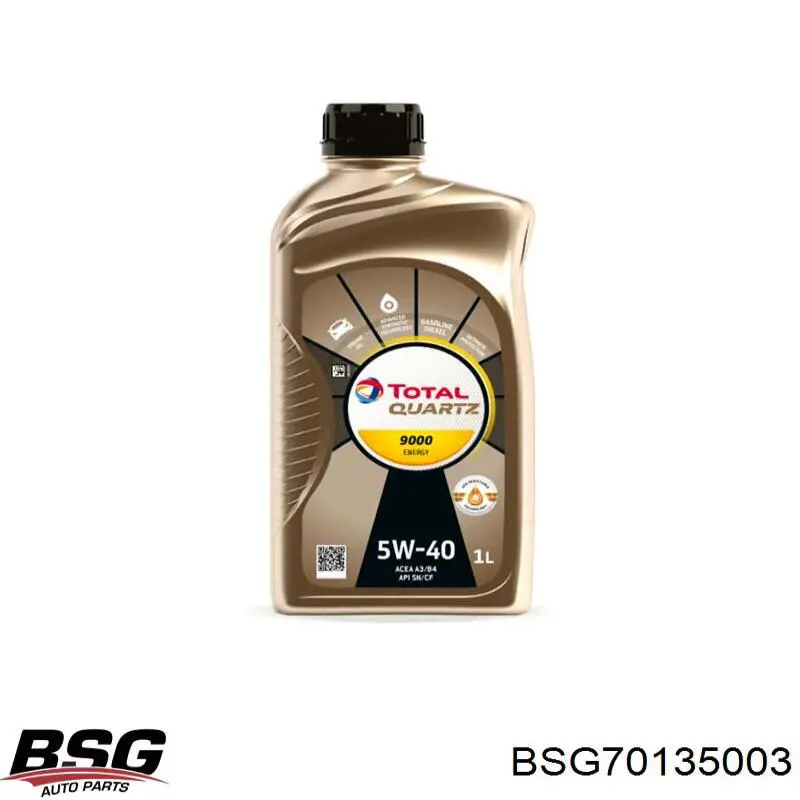 BSG 70-135-003 BSG filtro de aire