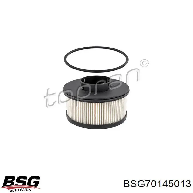 BSG 70-145-013 BSG filtro habitáculo