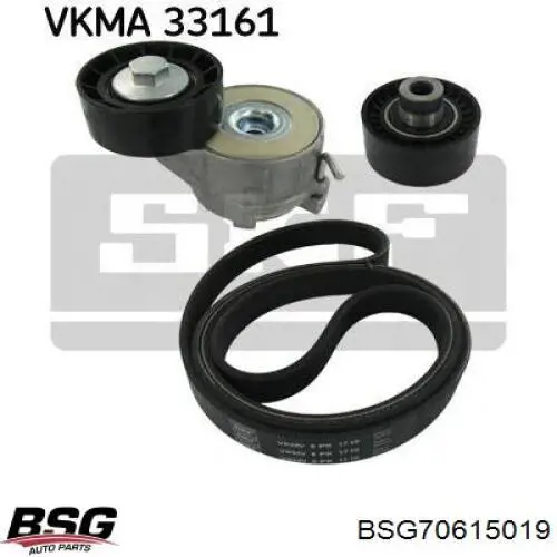 ACT219100 Open Parts Tensor de correa de alternador
