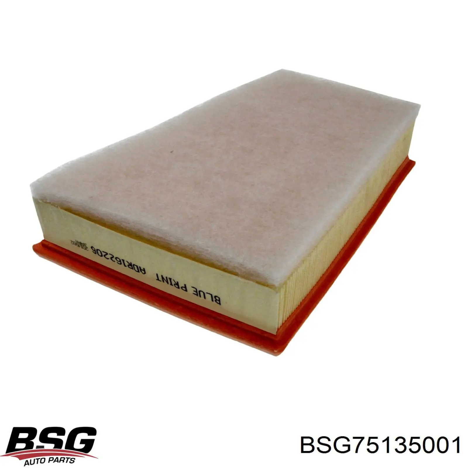 BSG 75-135-001 BSG filtro de aire