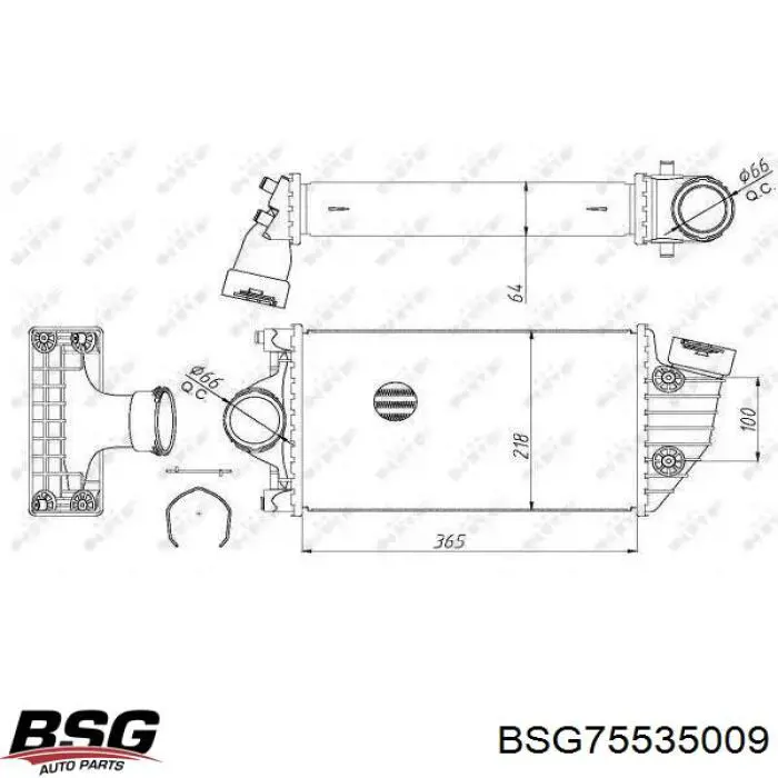 BSG 75-535-009 BSG radiador de aire de admisión