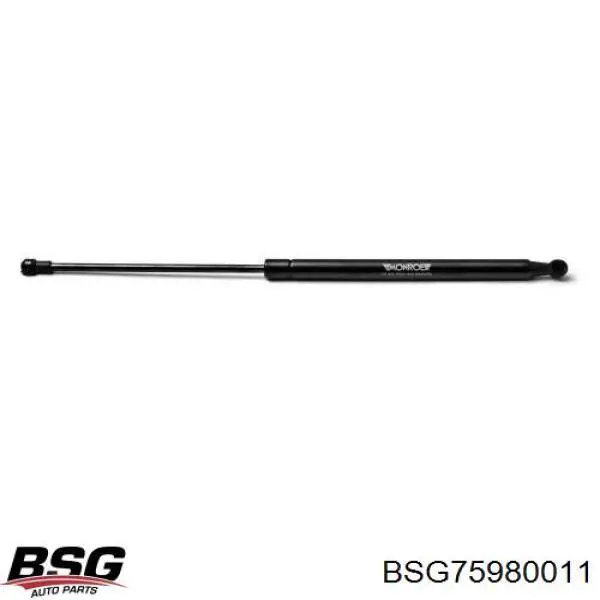 BSG 75-980-011 BSG amortiguador maletero