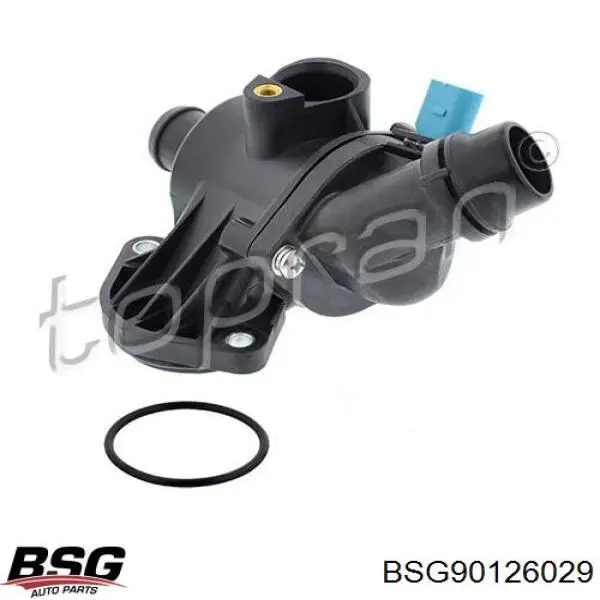 Caja del termostato Audi A4 8EC