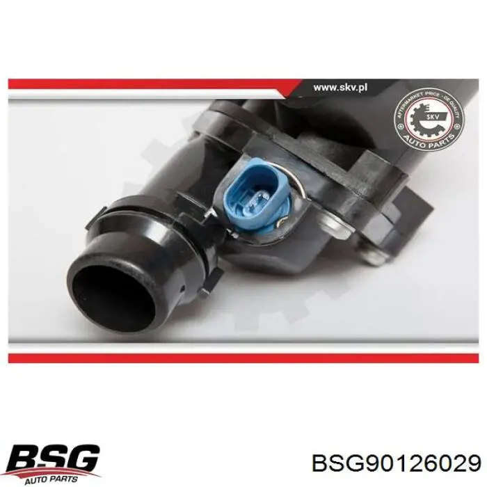 Caja del termostato Audi A4 8EC