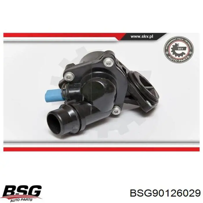 Caja del termostato Audi A4 8EC