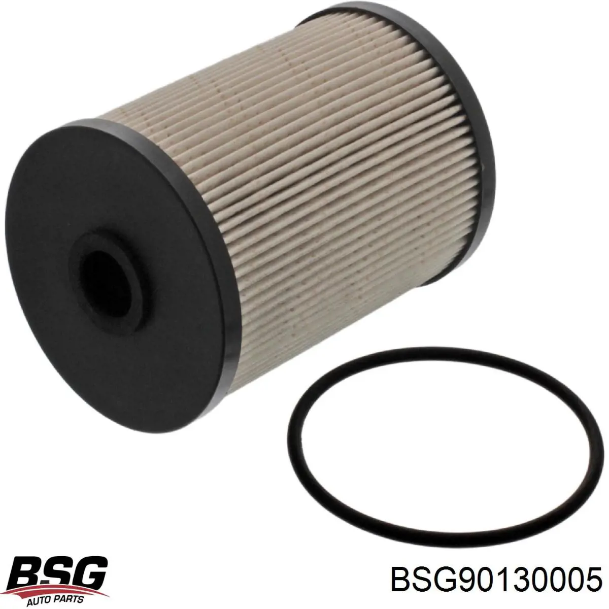 BSG 90-130-005 BSG filtro combustible