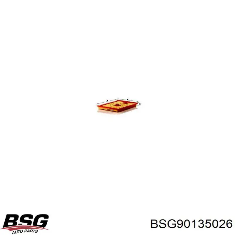 BSG 90-135-026 BSG filtro de aire
