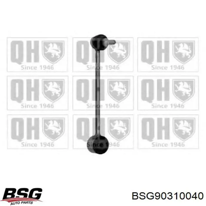 BSG 90-310-040 BSG soporte de barra estabilizadora trasera