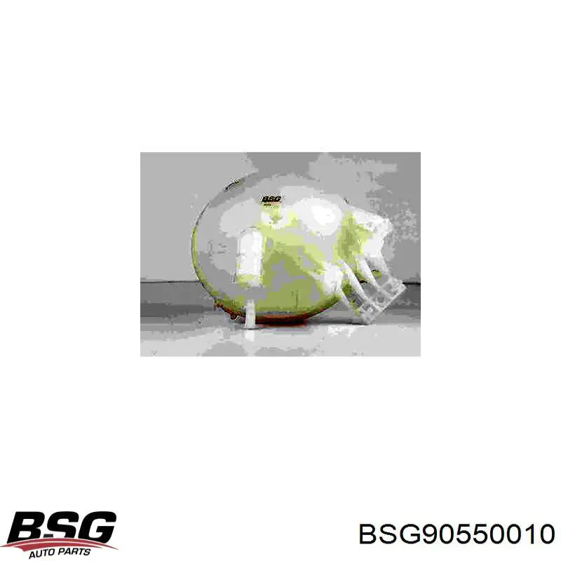 BSG 90-550-010 BSG vaso de expansión