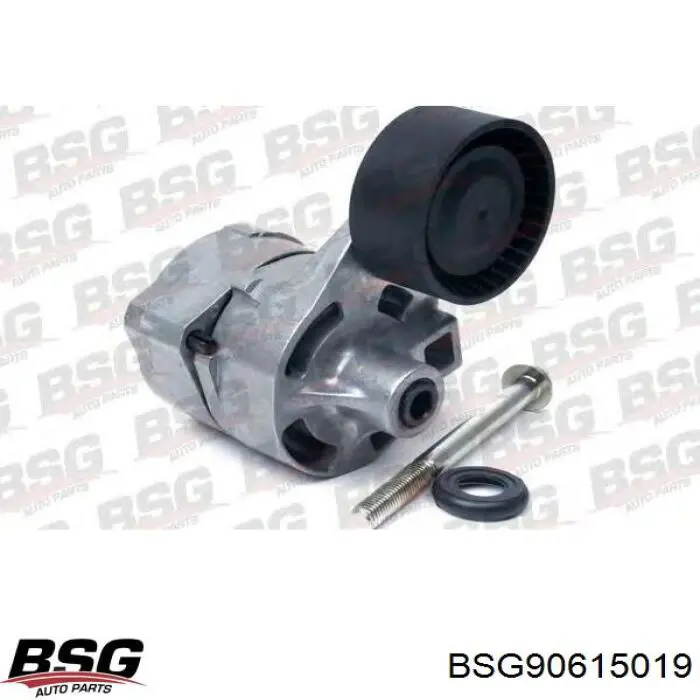 BSG 90-615-019 BSG polea inversión / guía, correa poli v