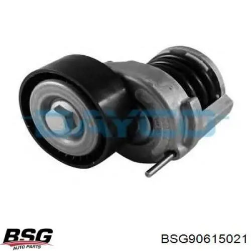 MPQ0344 Magneti Marelli Polea tensora