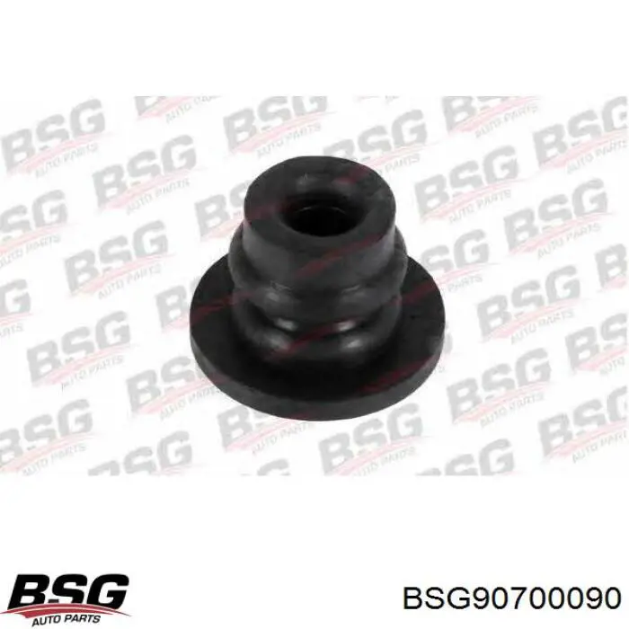 BSG90700090 BSG soporte de montaje, radiador, superior