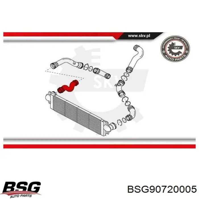 BSG 90-720-005 BSG tubo flexible de aire de sobrealimentación derecho