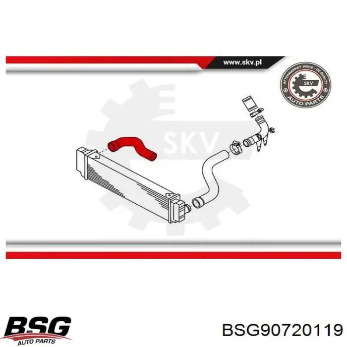 BSG 90-720-119 BSG tubo flexible de aire de sobrealimentación derecho