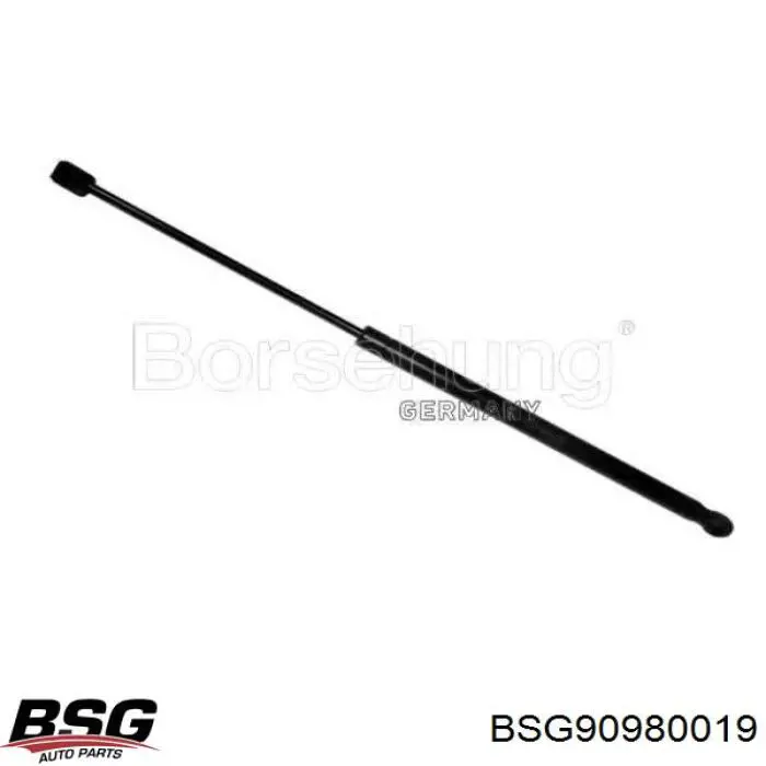 BSG 90-980-019 BSG muelle neumático, capó de motor
