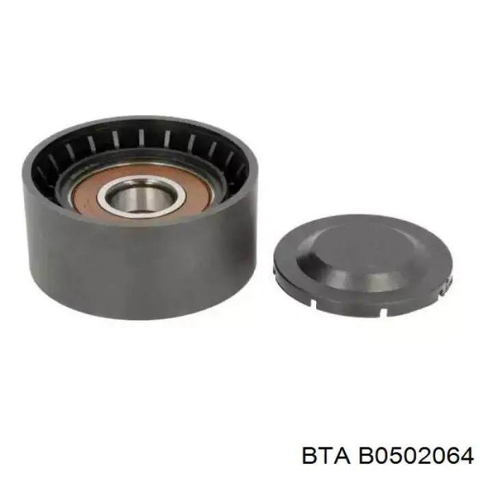 Rodillo tensor correa poli V BTA B0502064 precio, desde 11,82 EUR