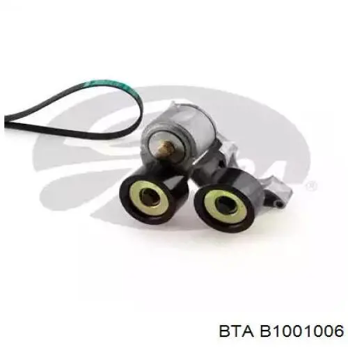 Kit correa de distribución para DAF 105 XF 