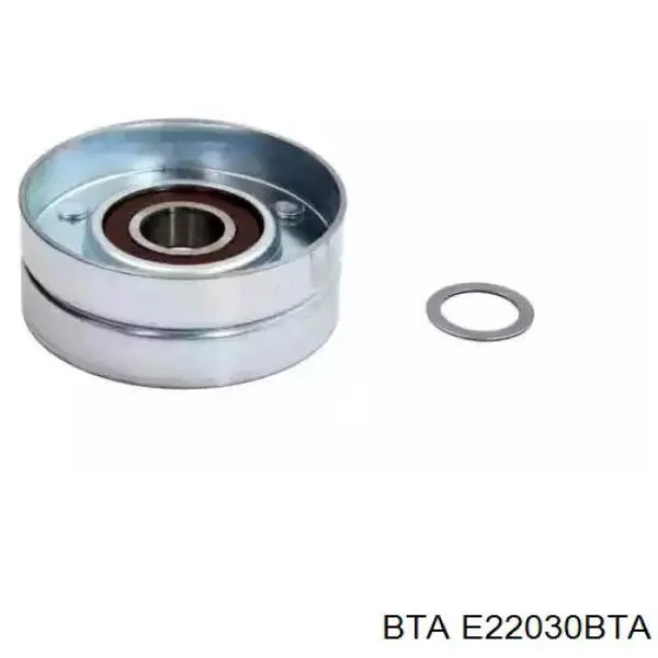 Rodillo tensor correa poli V BTA E22030BTA precio, desde 15,30 EUR