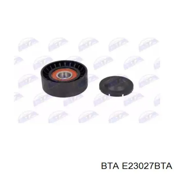 Rodillo tensor correa poli V BTA E23027BTA precio, desde 15,56 EUR