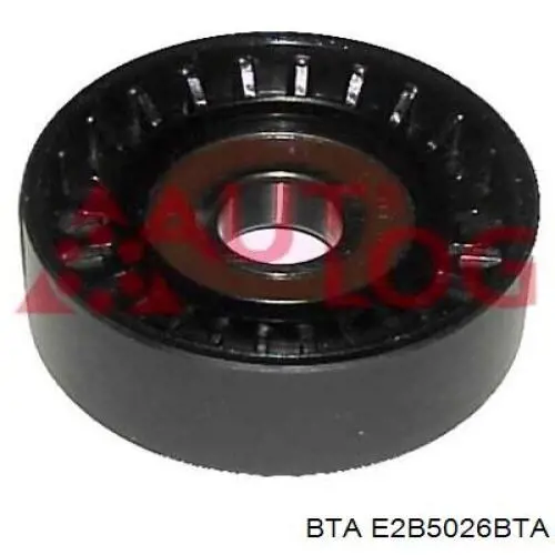 Rodillo tensor correa poli V BTA E2B5026BTA precio, desde 15,25 EUR