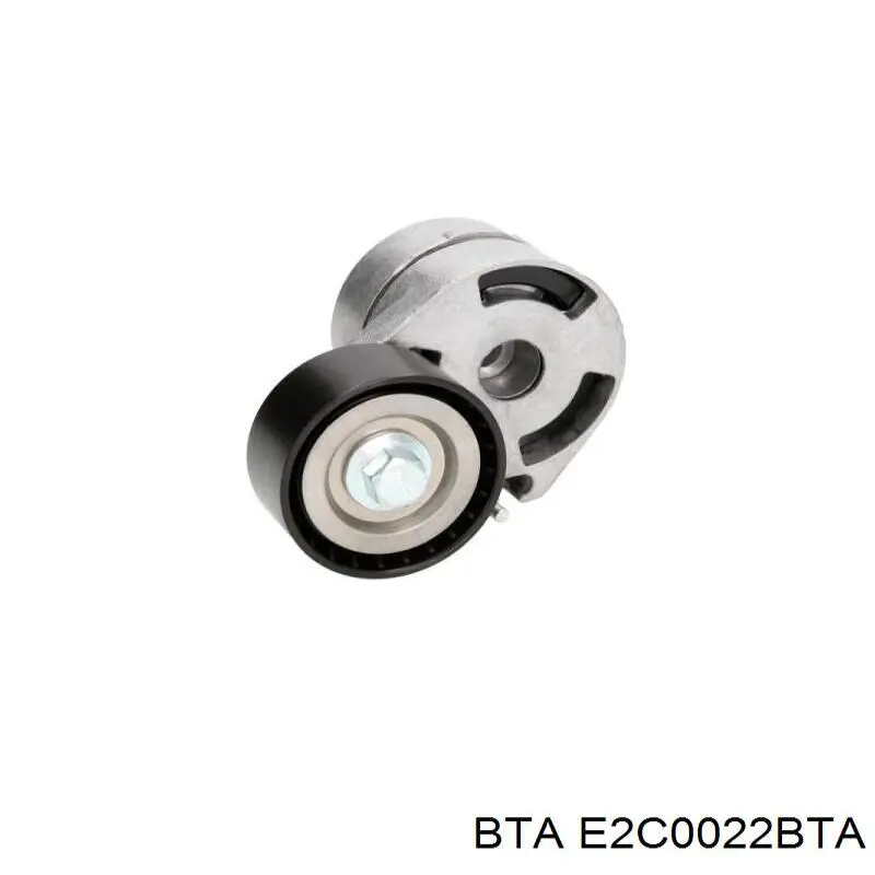 Polea inversión/guía, correa auxiliar servicios BTA E2C0022BTA precio, desde 11,19 EUR