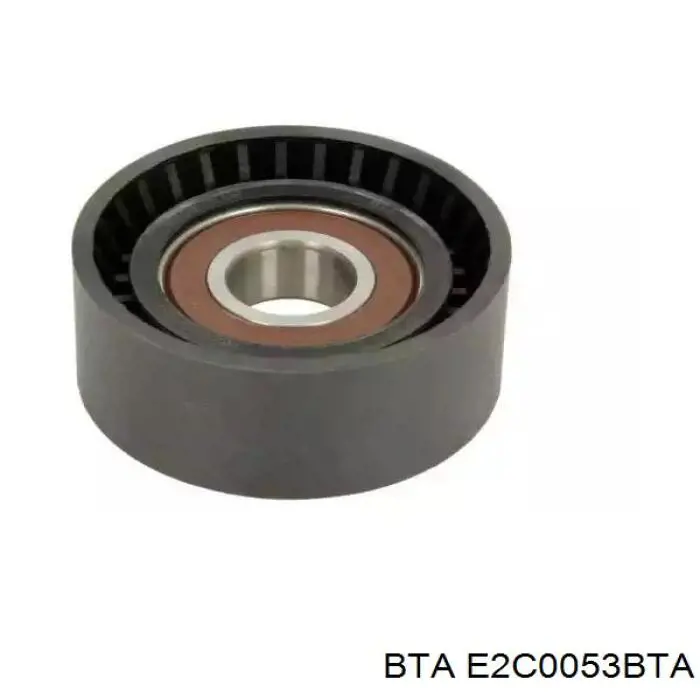 Comprar E2C0053BTA BTA Polea tensora, correa poli V